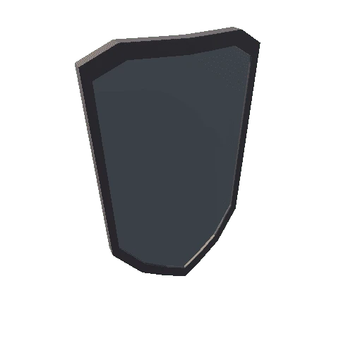 NLS_DUO Knight Shield